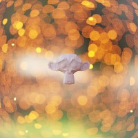 /projects/02_projects/2018-10-26_bcon18_lightning_talk_bokeh/thumbnail/c0c7d1406f8ea9112a6329337dd4728f_03-Lens04.jpg
